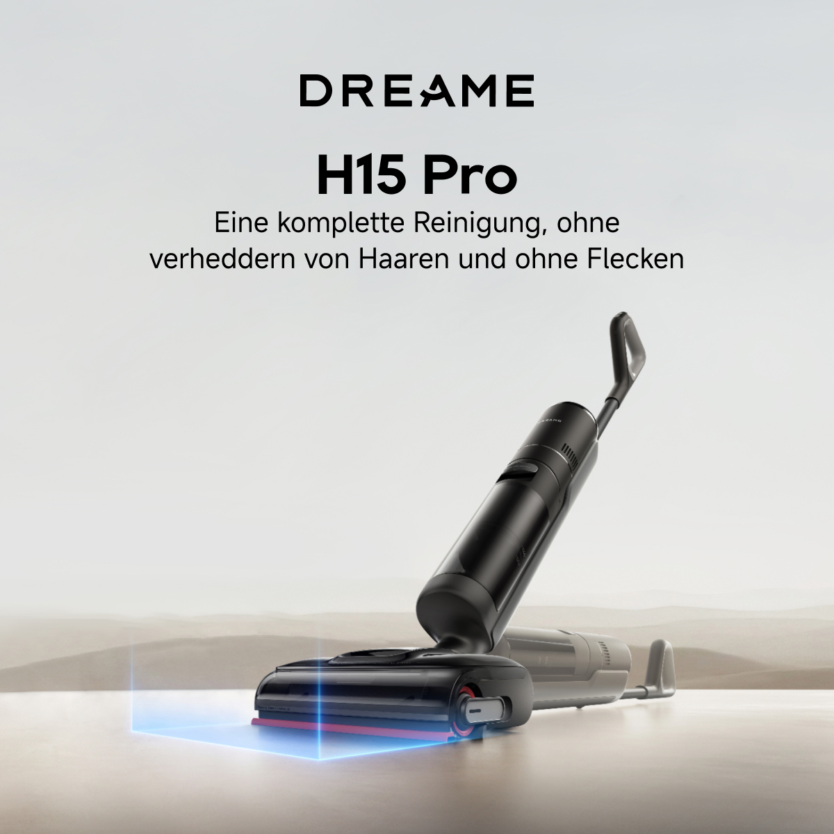 DE2.jpg