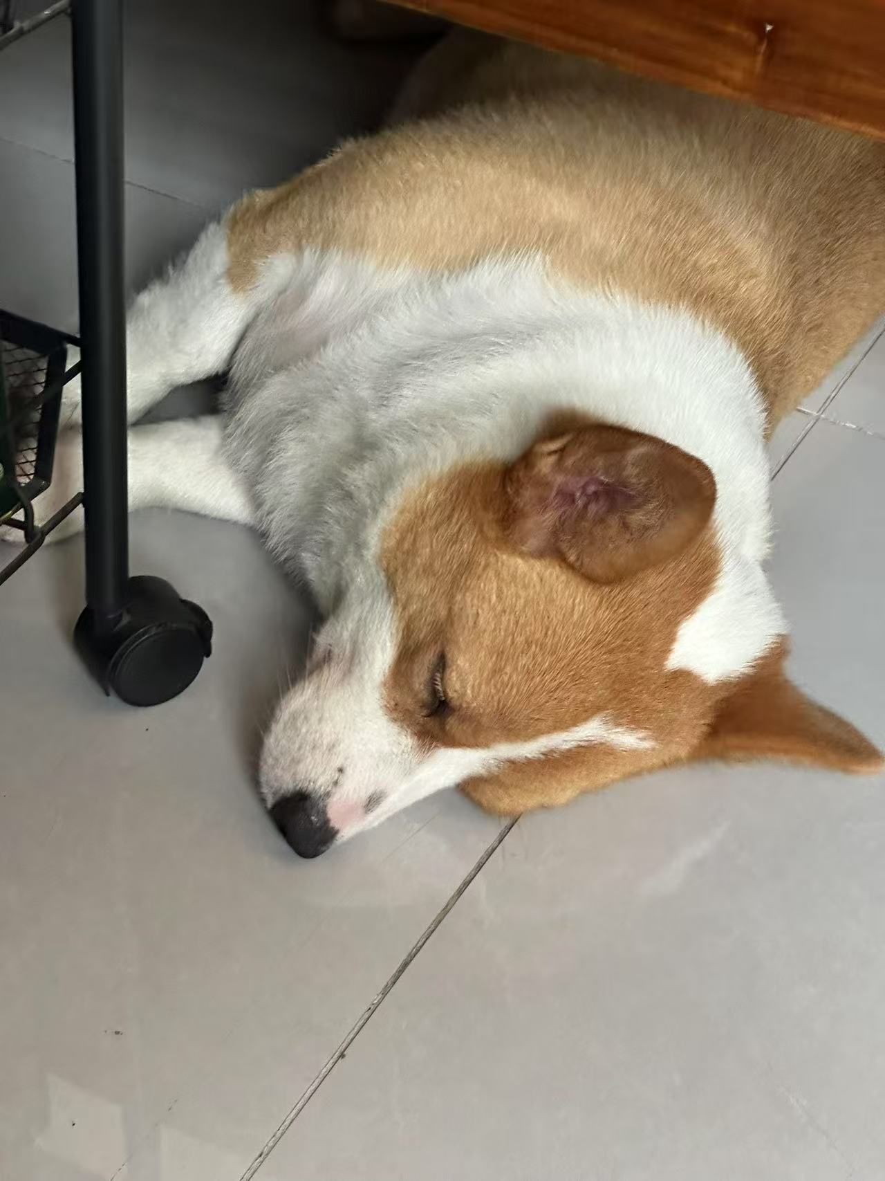 微信图片_20250801143314_215.jpg