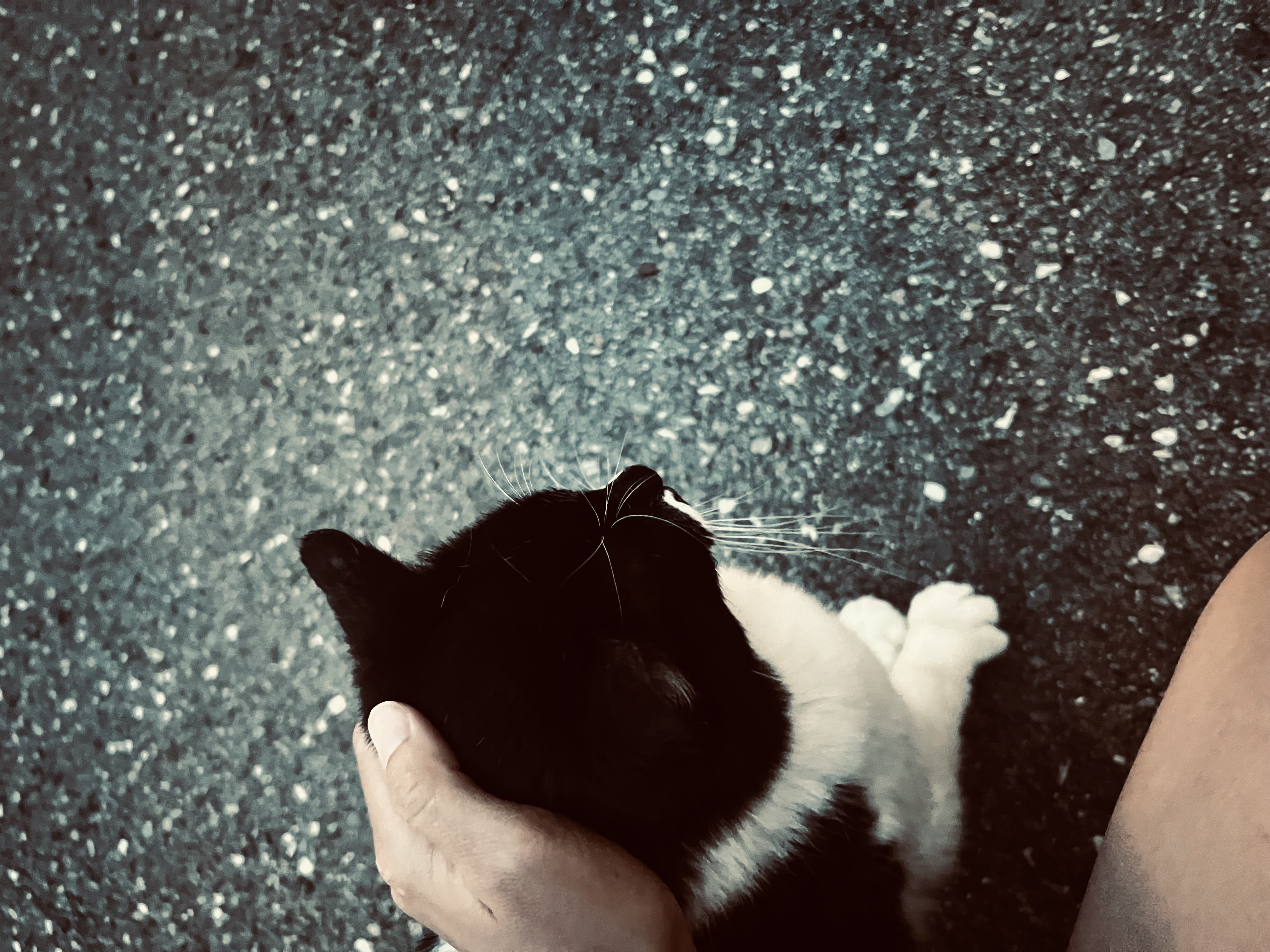 IMG_7220.jpeg