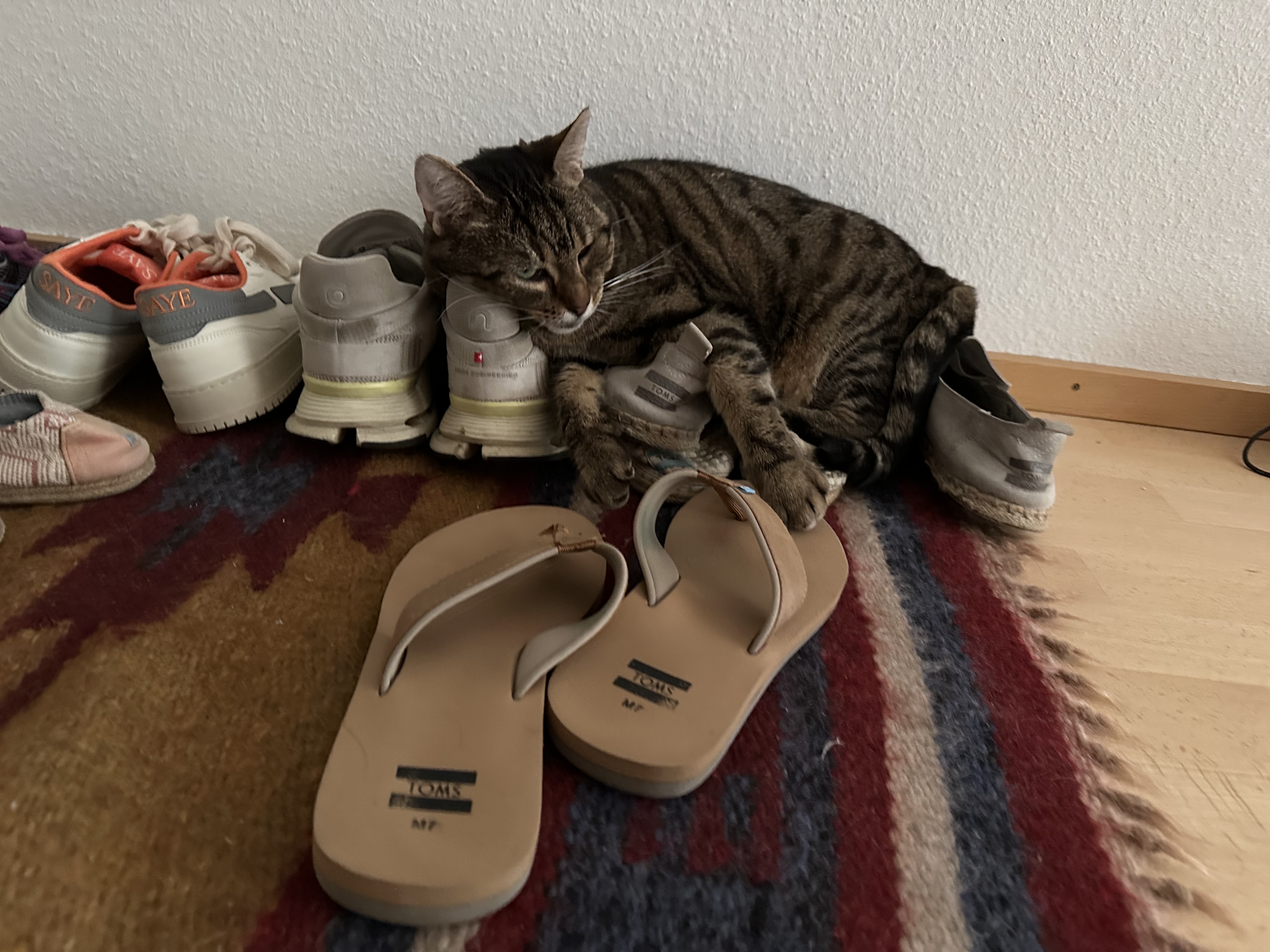 IMG_9891.jpeg