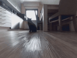 1760276362108096.gif
