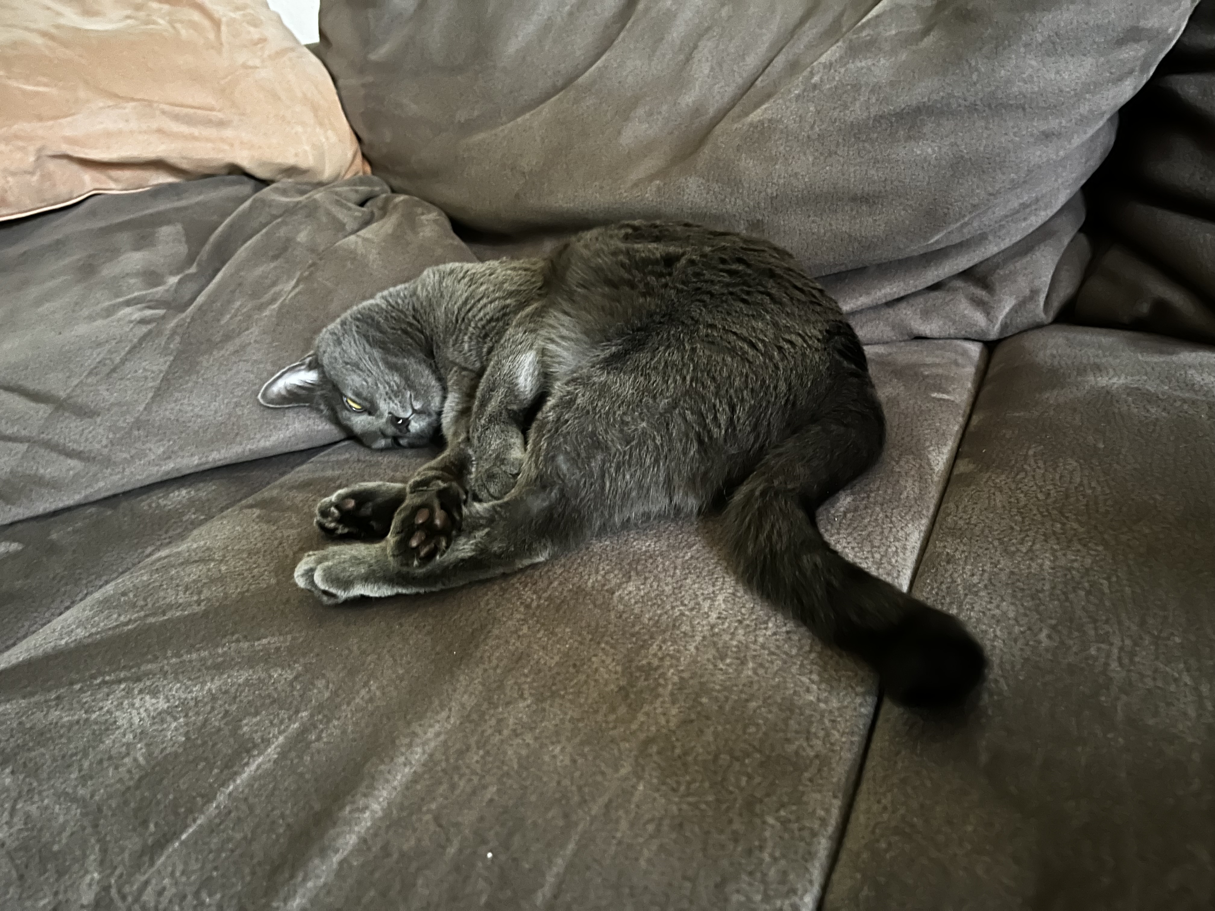 IMG_4128.jpeg