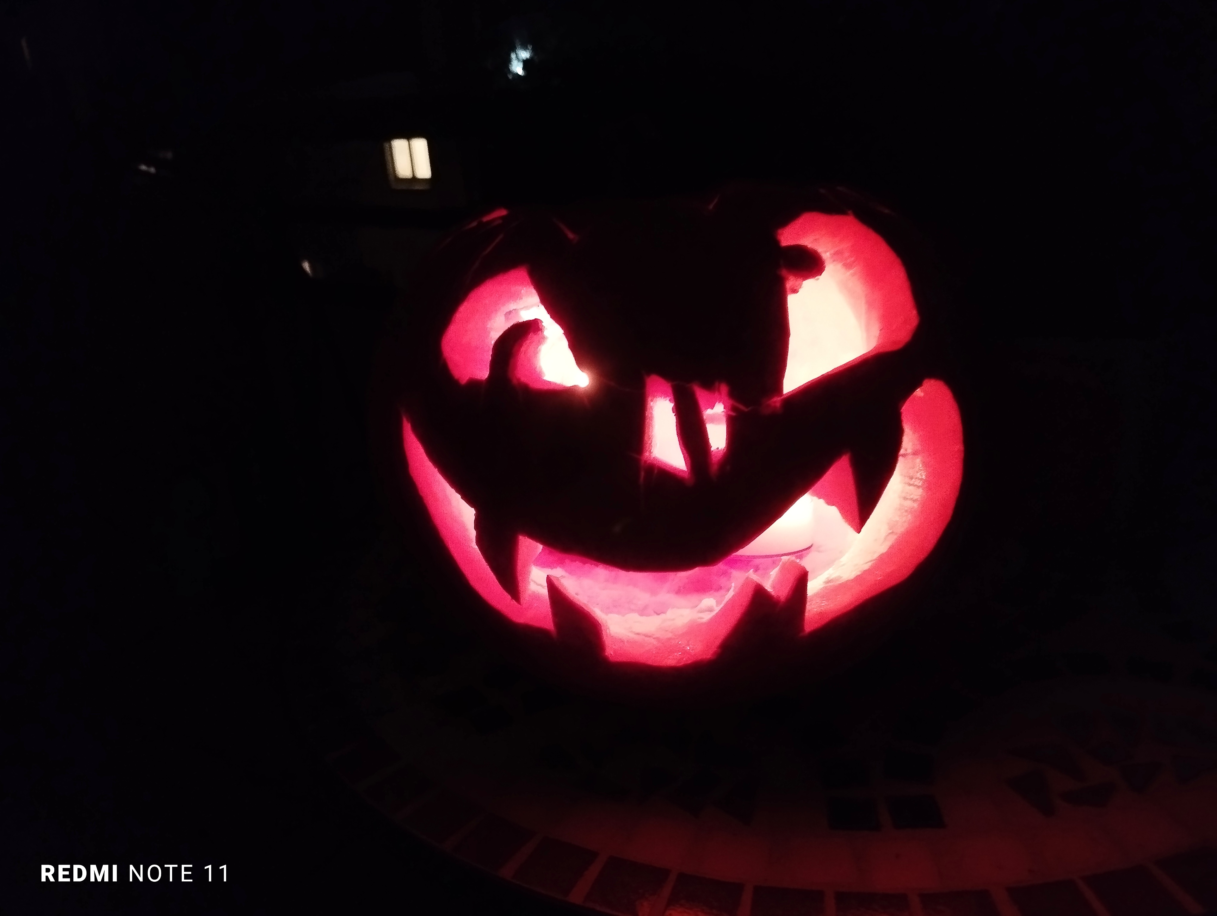IMG_20221023_202147.jpg