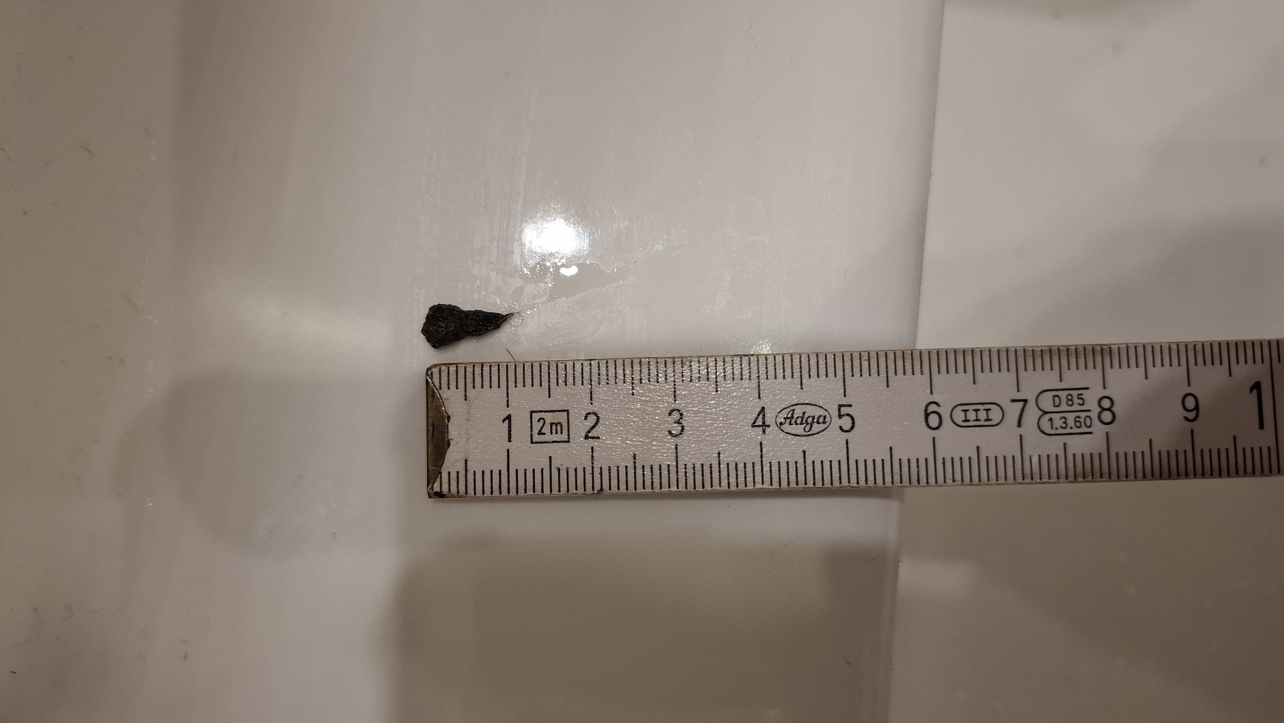 20260907_164704.jpg