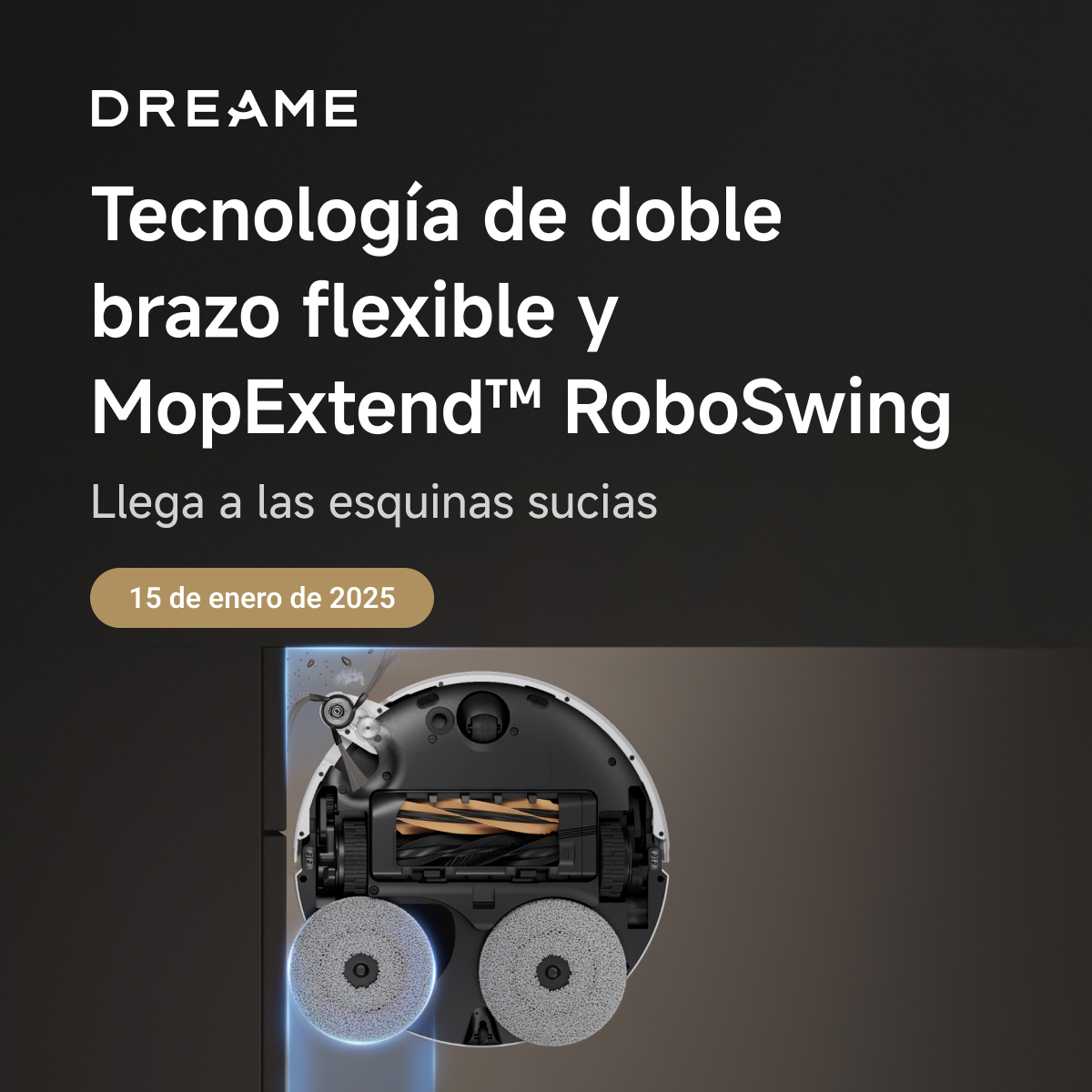 4-ES_Dual Flex Arm  & MopExtend™ RoboSwing_ 1200_1200.jpg