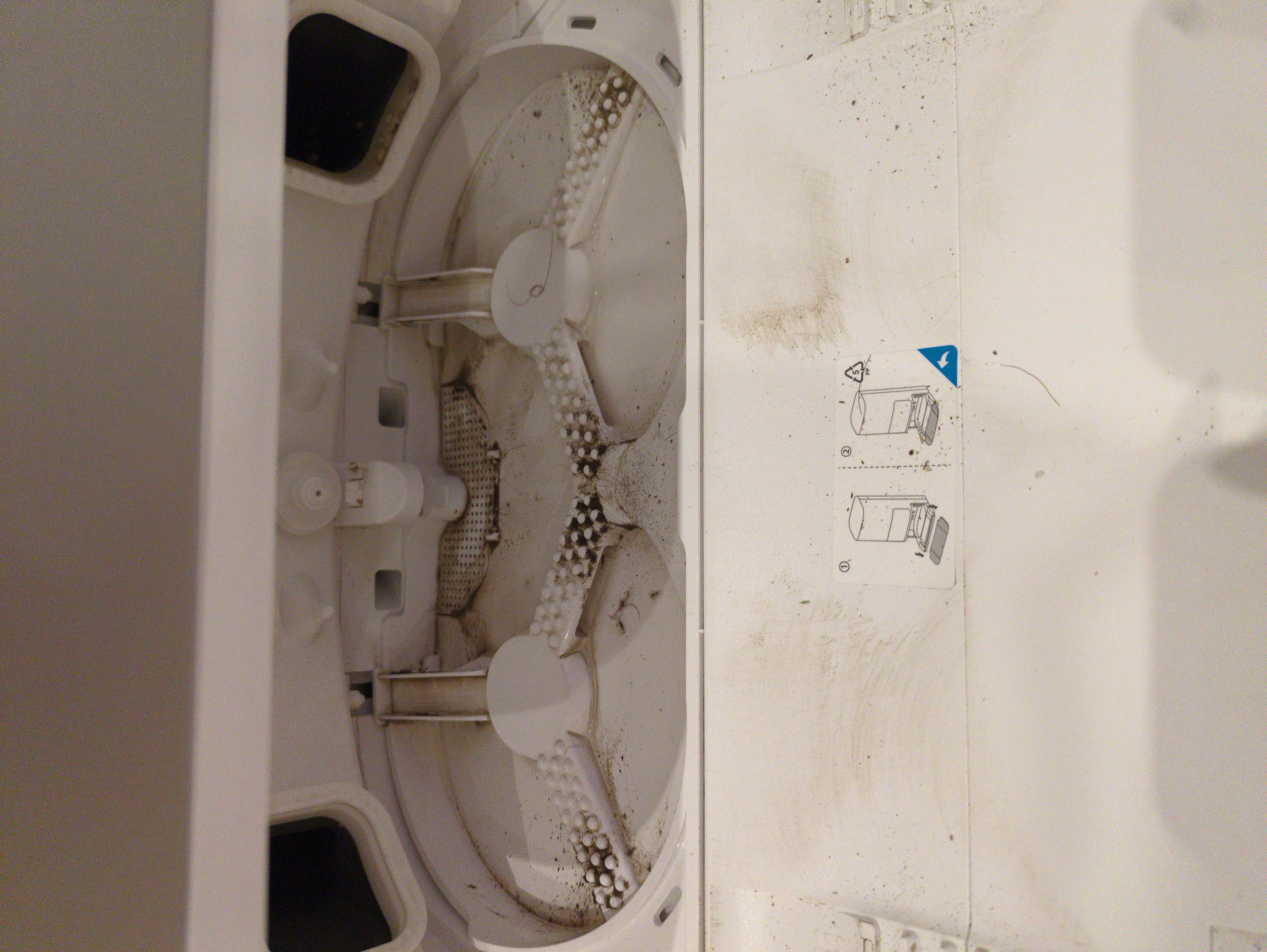 image6979231778672857454.jpg