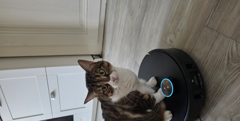 🐾Dreame & les animaux : best-of