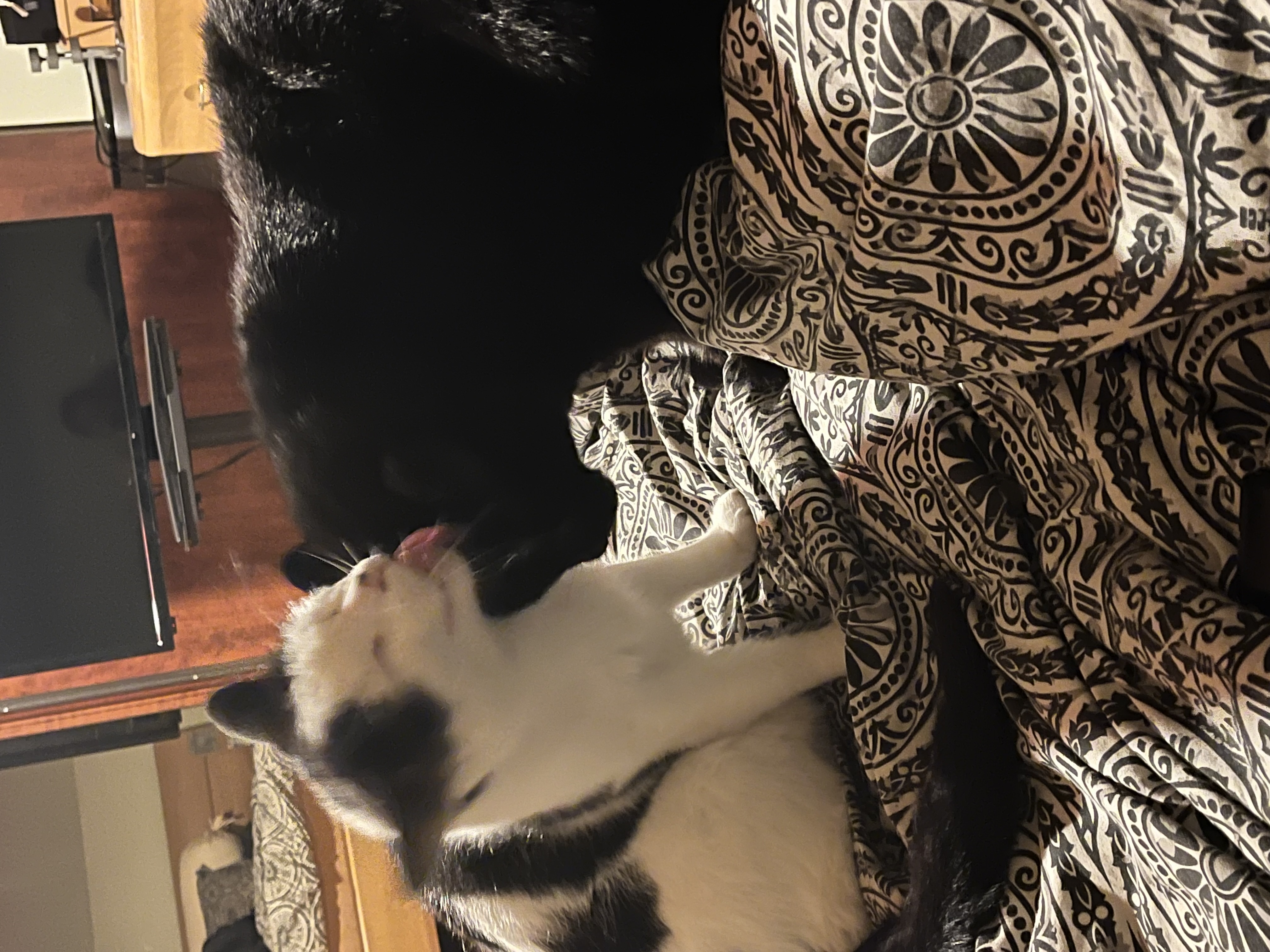 IMG_3598.jpeg