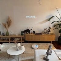 DreameLuca