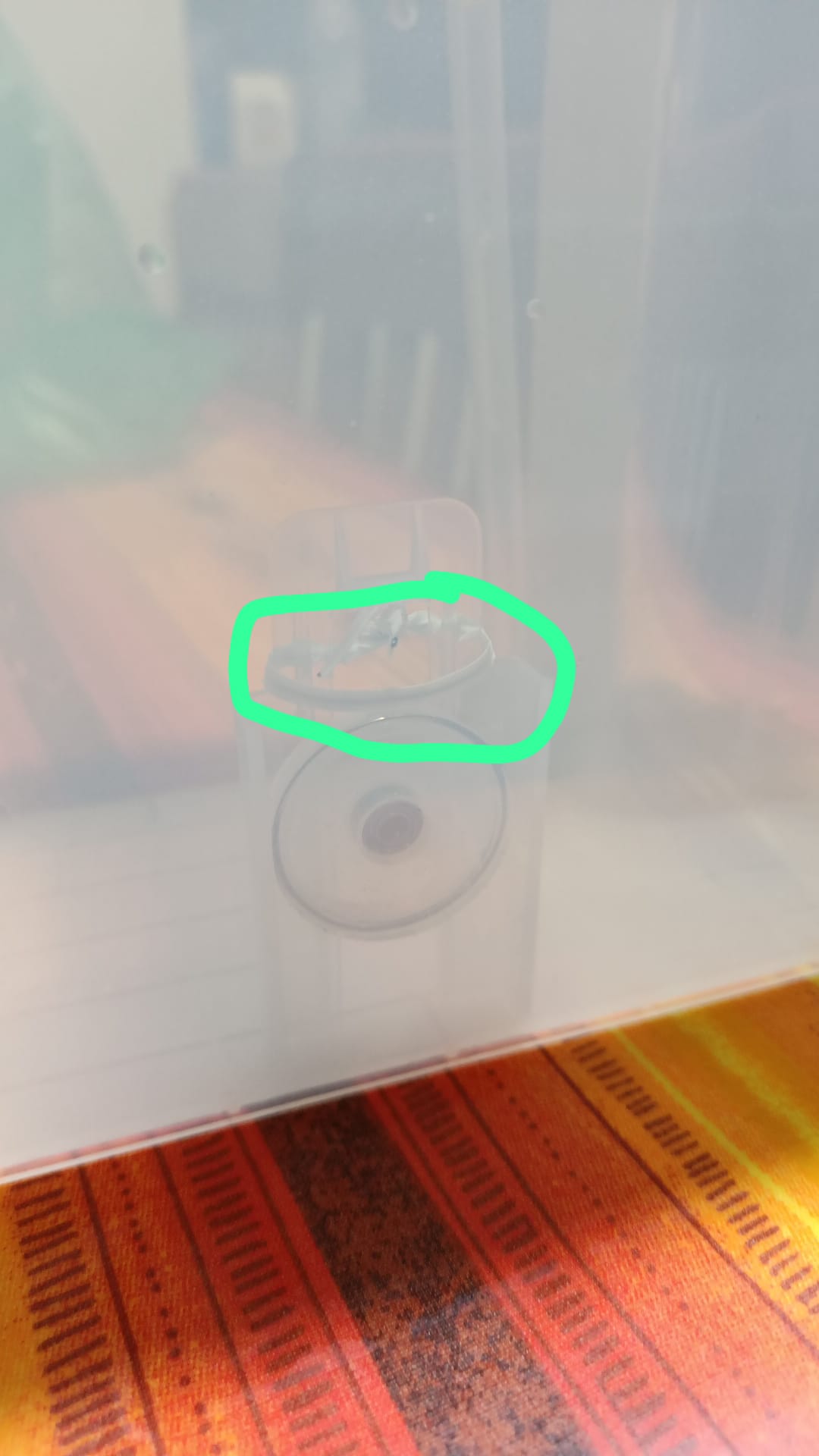 1000172867.jpg