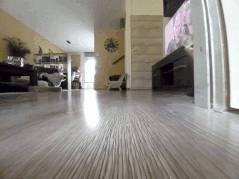nl pet.gif