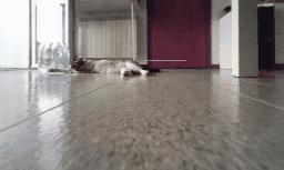 1000055281.gif