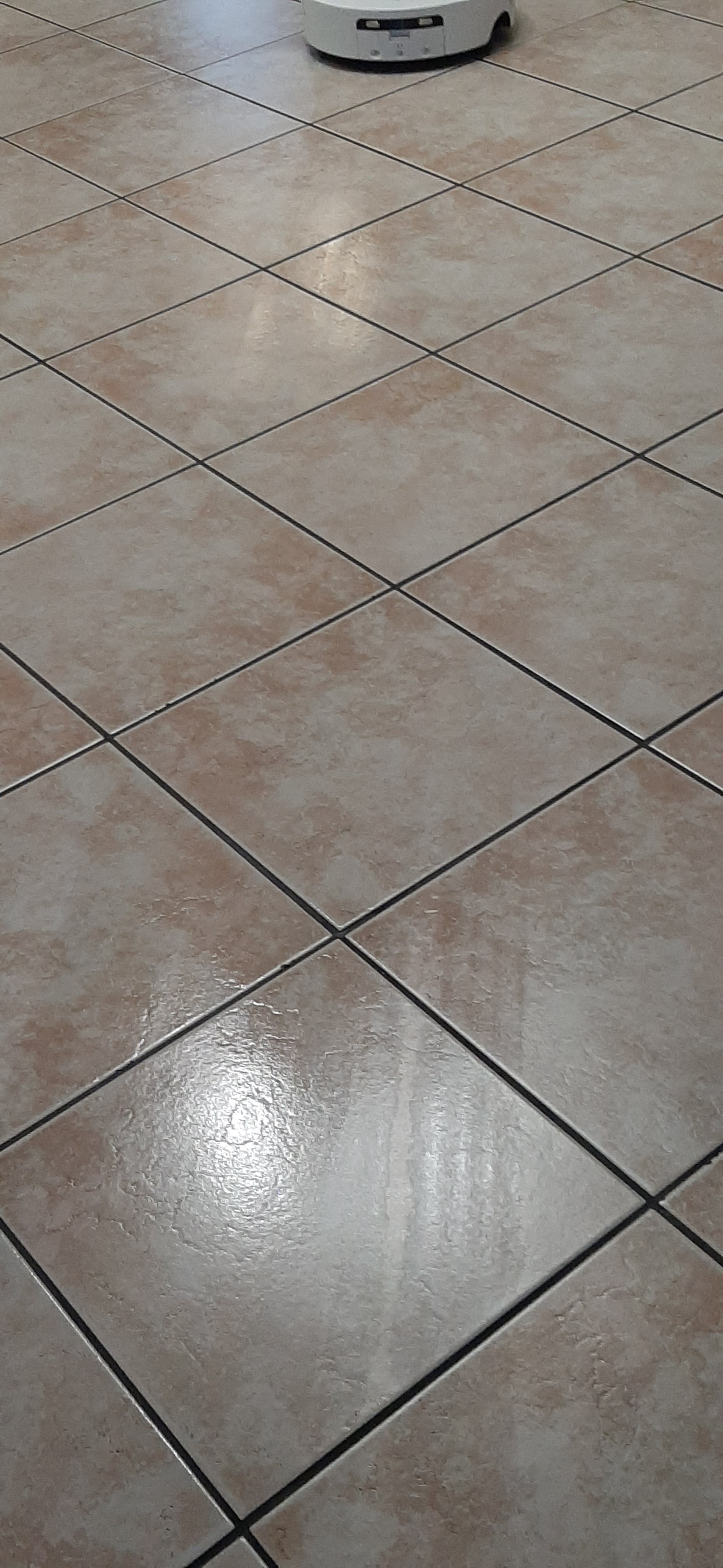 20260826_191331.jpg