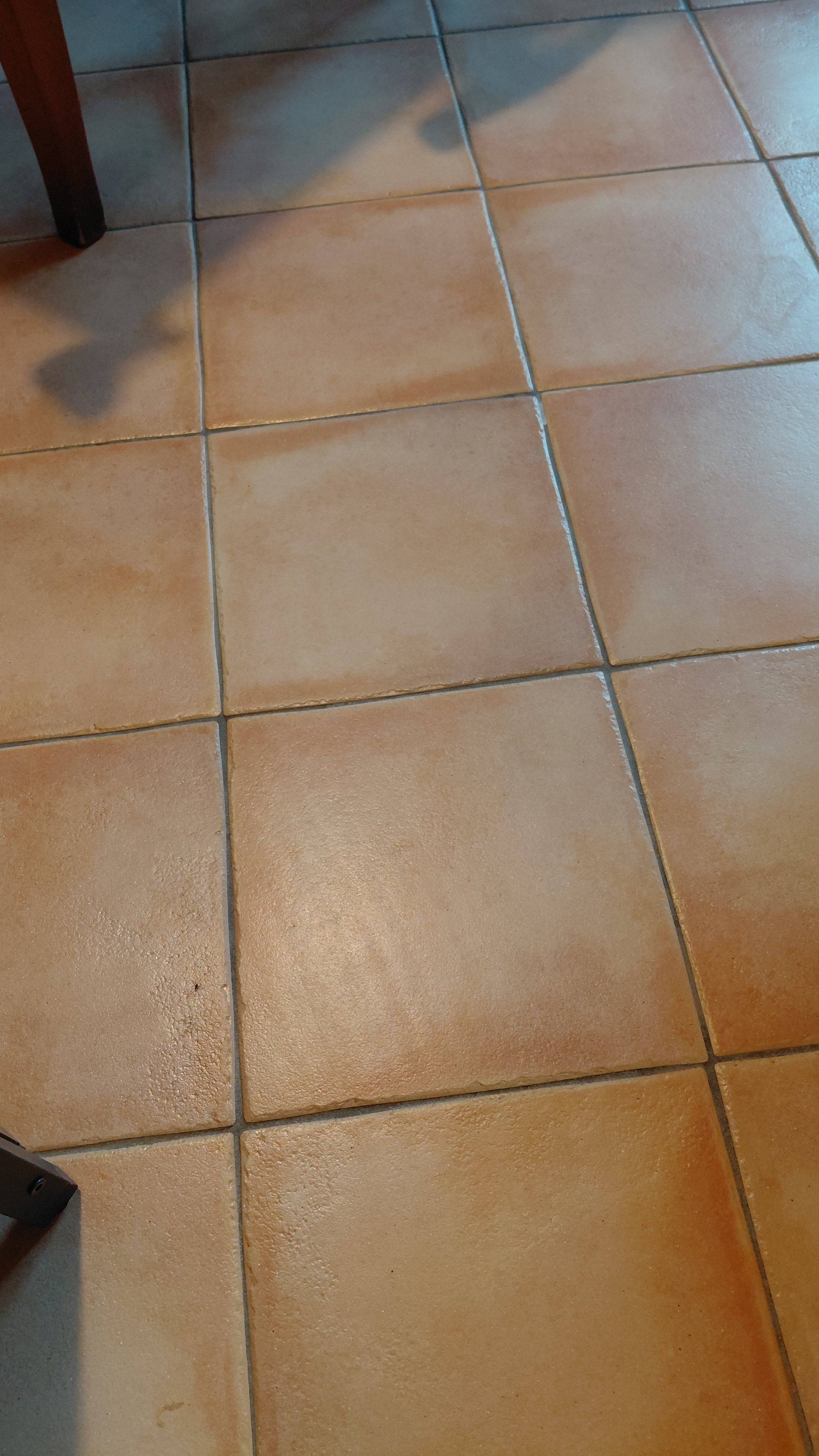 image890547931831466089.jpg