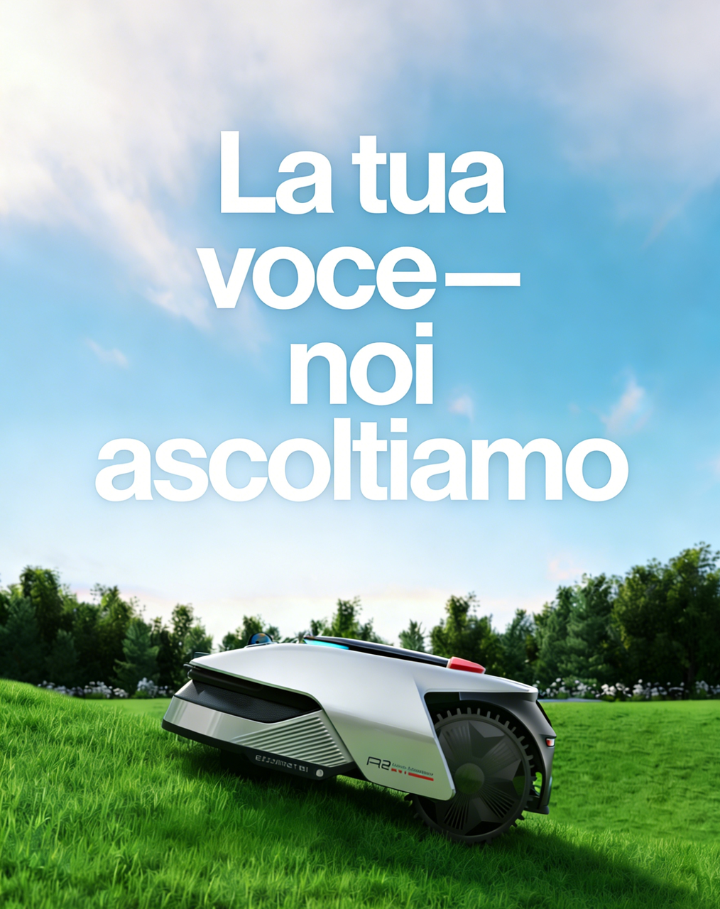 image (3).png