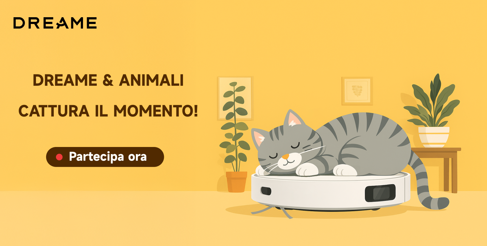 Dreame & Animali – Cattura il Momento!