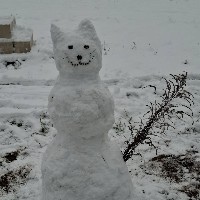 Lokitty