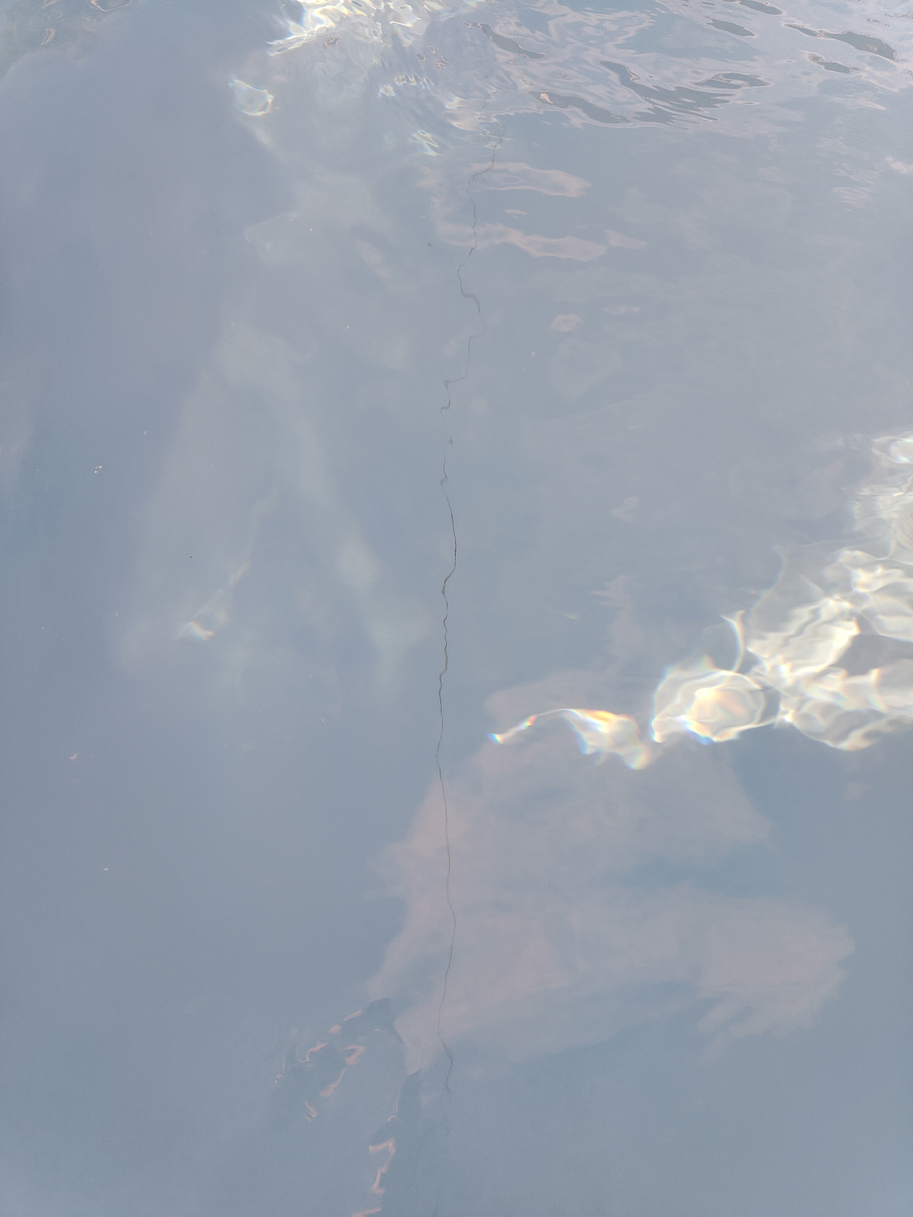 image7103868528938744158.jpg