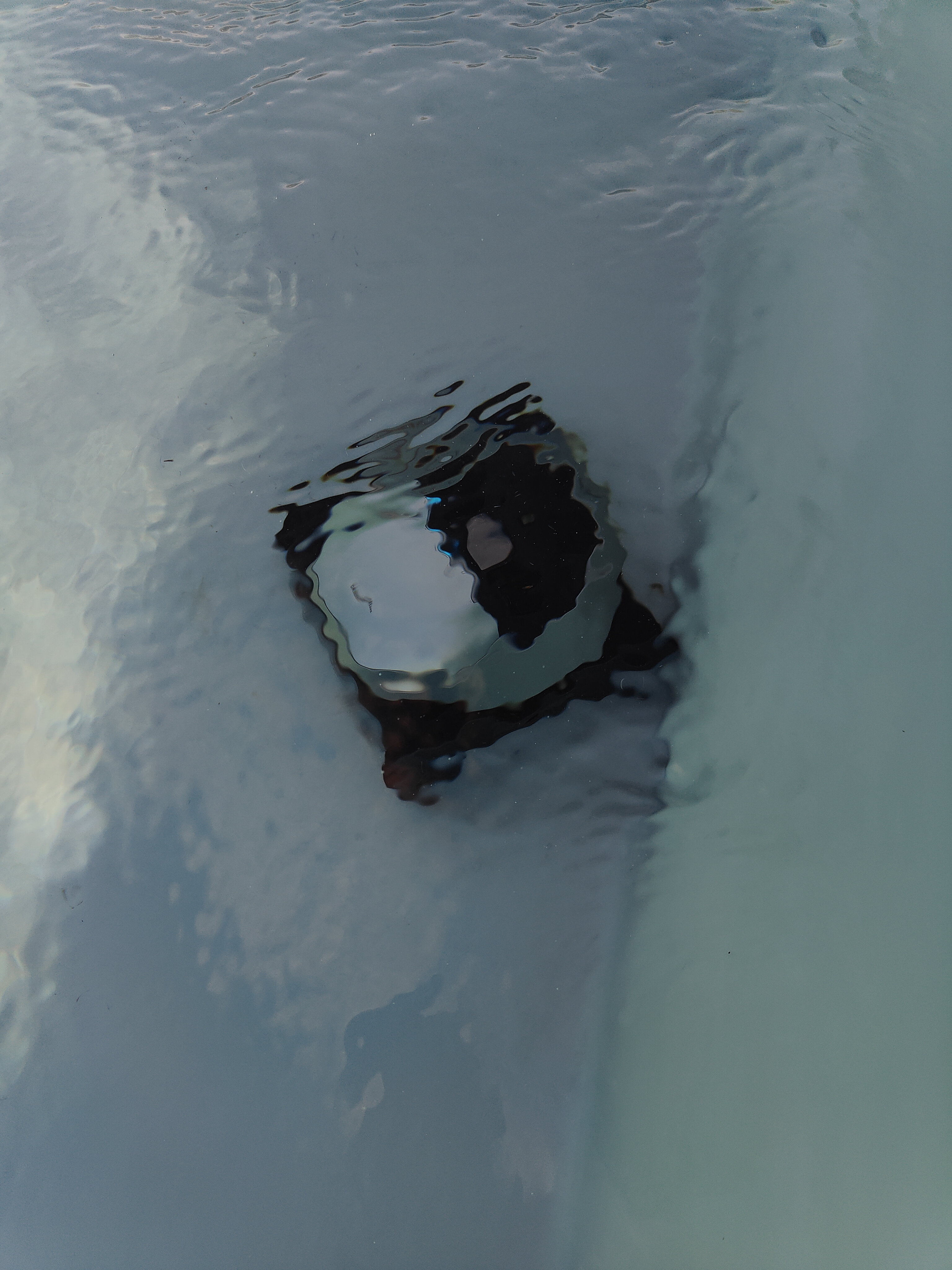 image7885137344495032498.jpg