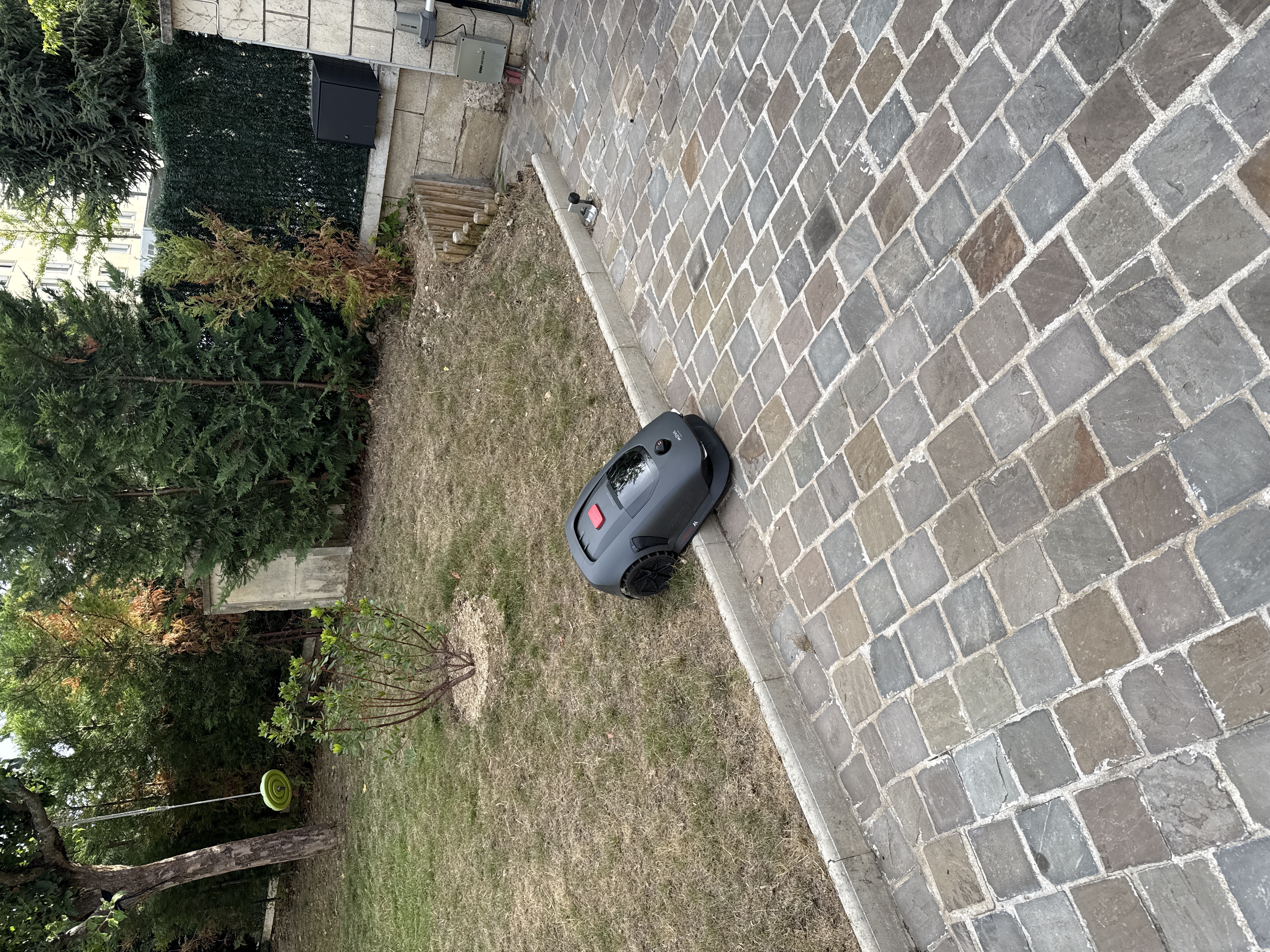 IMG_2583.jpeg